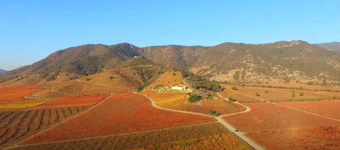 vinasantacruz_margaritawines.dk-min